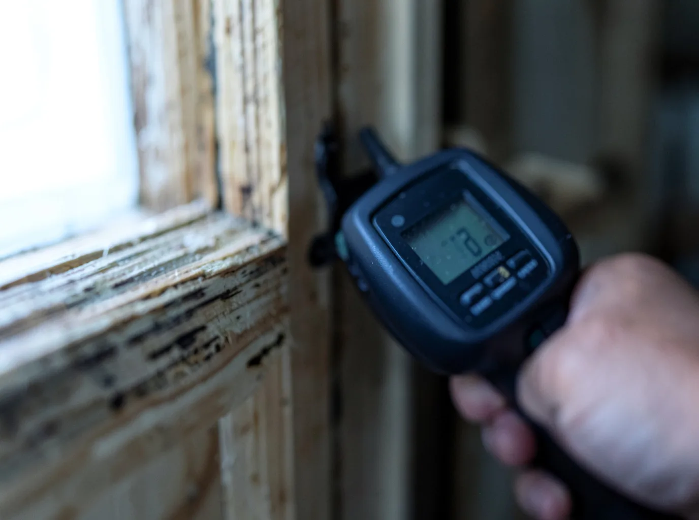 Moisture Inspection And Documentation in Winchester, TN